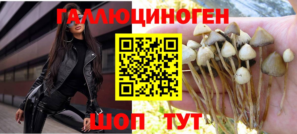 Галлюциногенные грибы Psilocybine cubensis  Вход с VPN  Галлюциногенные грибы Psilocybine cubensis  Тулун 