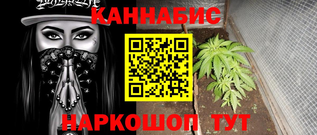 Бошки марихуана индика  Вход с VPN  Канабис индика  Тулун  Конопля семена 